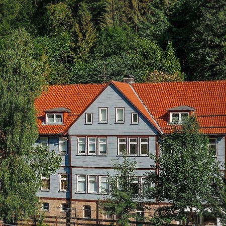 Fewo-Lerbachtal Osterode am Harz Bagian luar foto
