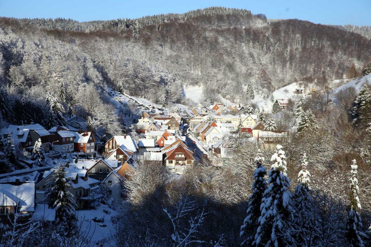 Fewo-Lerbachtal Osterode am Harz Bagian luar foto
