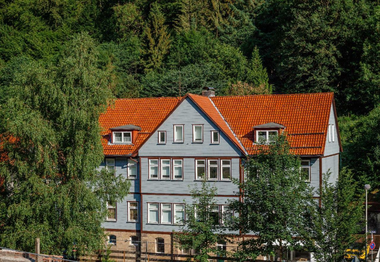 Fewo-Lerbachtal Osterode am Harz Bagian luar foto