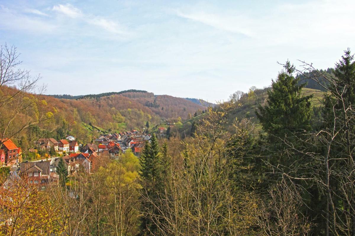 Fewo-Lerbachtal Osterode am Harz Bagian luar foto