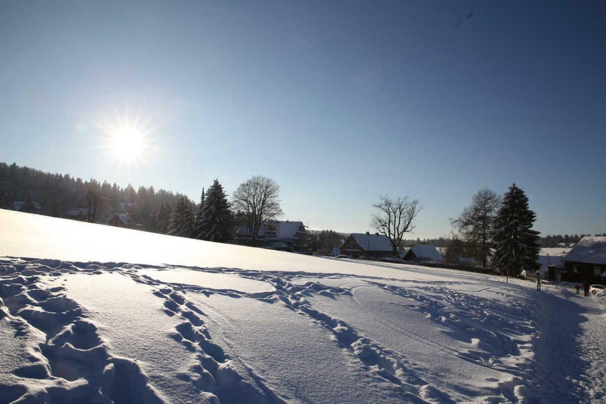 Fewo-Lerbachtal Osterode am Harz Bagian luar foto