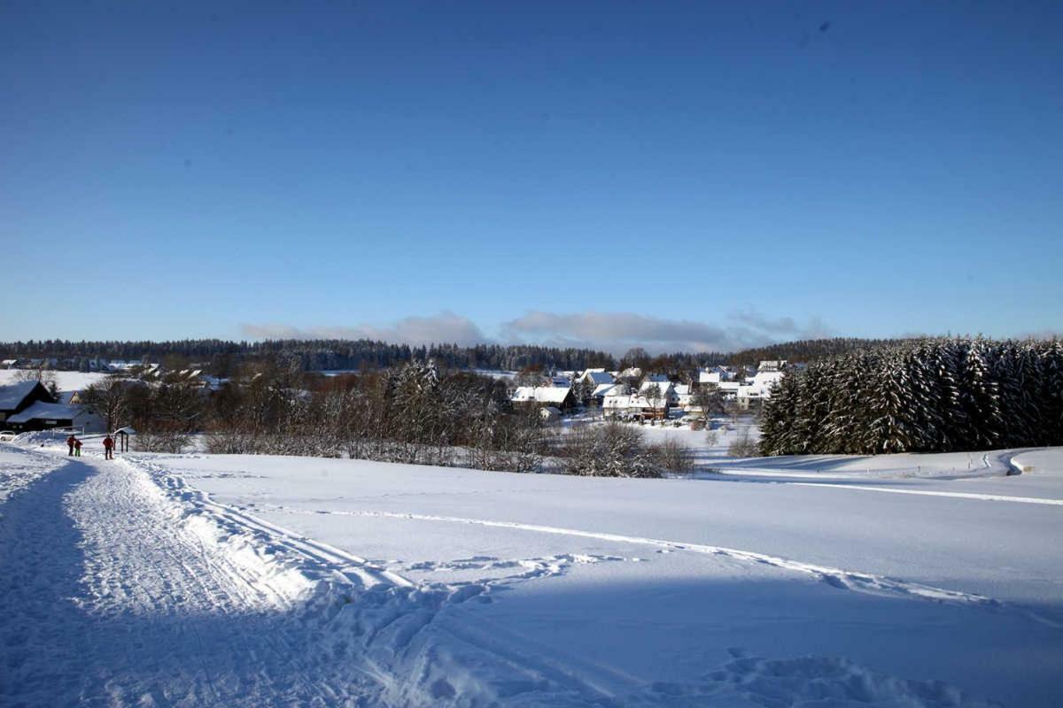 Fewo-Lerbachtal Osterode am Harz Bagian luar foto